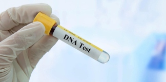 A Father Becomes Curious About His Child's Skin Tone and Decides to Conduct a DNA Test Privately